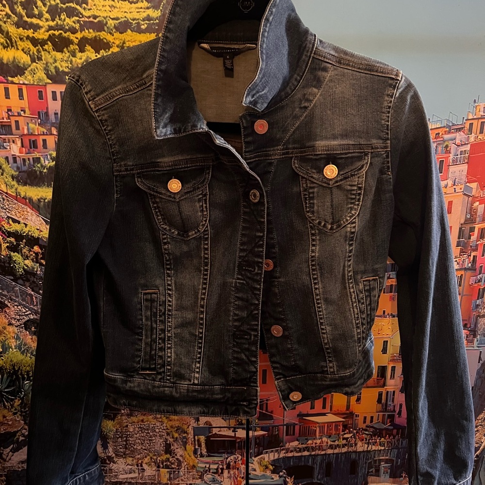 Denim Cropped Jacket - image 1